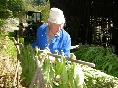 2007 - vresse - automne - tabac recolte - baudriots - redim.jpg