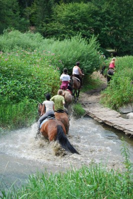 2009 - Laforet - Ete - Chevaux-Pont de claies-Semois redim.jpg