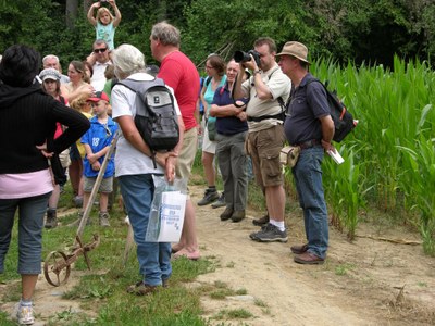 2010 - Bohan - ete - promenade tabac - tellier redim.jpg