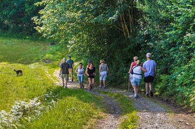 2014 - eté - nature promeneurs (s. de gheselle ardenne namuroise).jpg