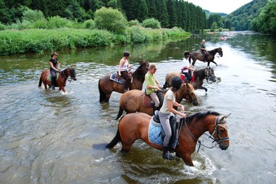 2009 - Commune Vresse - Ete - Chevaux Semois -JM Verday Ardenne namuroise- -7.JPG